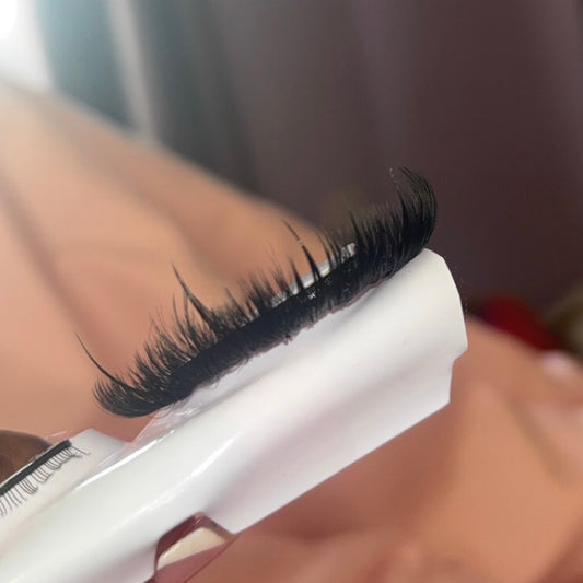 “Ebony” Lash (Bestseller)